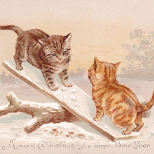 Two kittens seesawing on a Christmas card