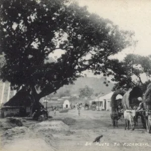 Kodaikanal hill station, Tamil Nadu, India