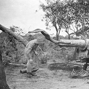 Last Konigsberg gun to be destroyed, Masasi, WW1