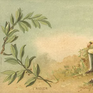L Aiglon, by Edmond Rostand