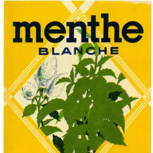 Label, Menthe Blanche