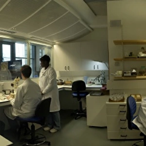 Laboratory in the Darwin Centre