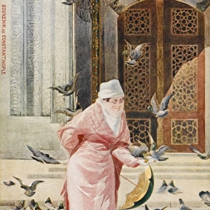Lady feeding the pigeons - Constantinople, Turkey