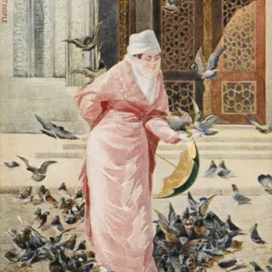 Lady feeding the pigeons - Constantinople, Turkey