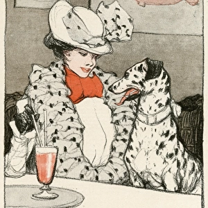 Lady W / Dalmatian Cafe