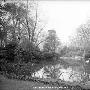 Lake in Botanic Park, Belfast