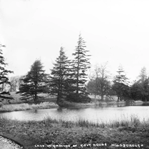 Lake in the Grounds of Govt. House Hillsborough