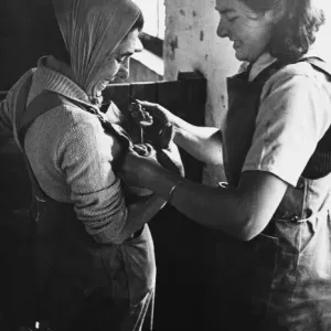 Land Girls WWII