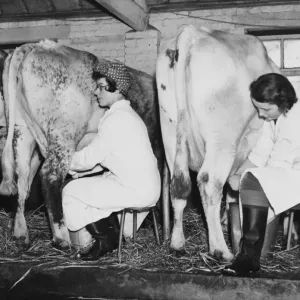 Land Girls WWII