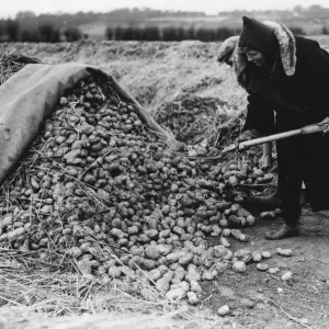 Land Girls WWII