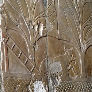 The Land of Punt. Temple of Hatshepsut. Deir el-Bahari. Eg
