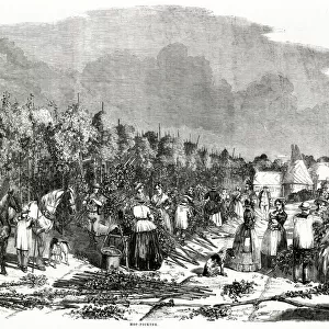 Landscape Scene of Hop Picking 1858