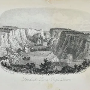 Landslip, Lyme Regis, Dorset Landslip, Lyme Regis, Dorset