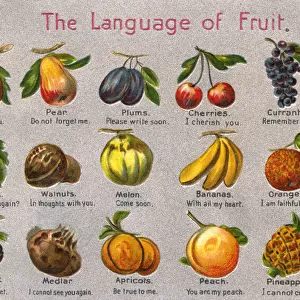 The Language of Fruit