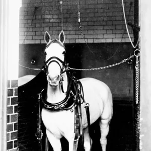 LCC-LFB Islington fire station stables -- Kruger