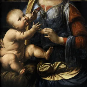 Leonardo da Vinci (1452 A?i? 1519). The Madonna of the Carn