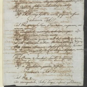 Letter from Vandelli, Domenico