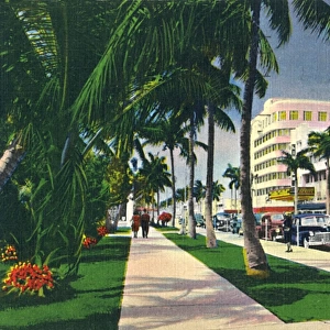 Lincoln Road, Miami Beach, Florida, USA