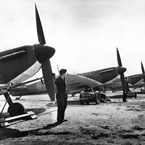 A line-up of Supermarine Spitfire Is