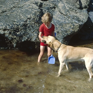 Little boy and dog in pool of water, West Country