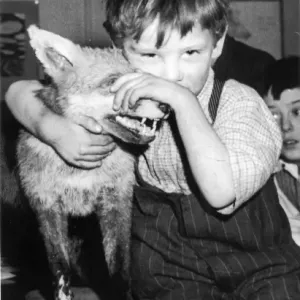 Little boy with fox, c. 1950 Little boy with fox, c. 1950