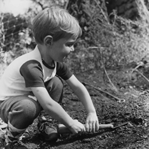 Little boy playing in a garden