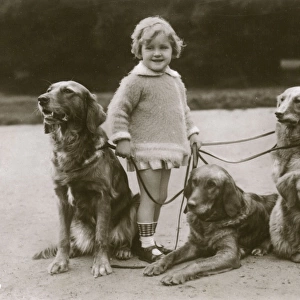 Little girl and four dogs in a garden