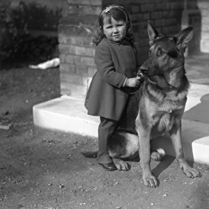 Little girl and her German Shepherd dog