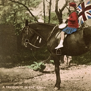 Little Patriotic Girl astride a cavalry horse