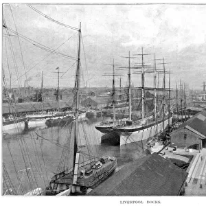 Liverpool Docks / 1902