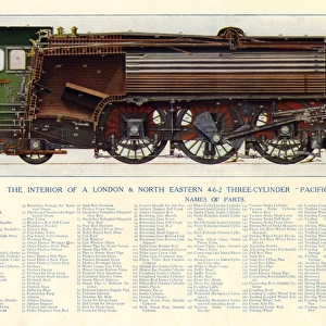 LNER Pacific Locomotive