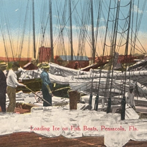 Loading ice onto Fishing Boats, Pensacola