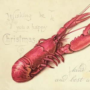 Lobster on a Christmas card