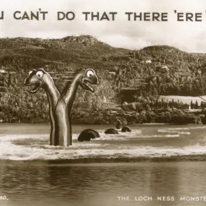 The Loch Ness Monster at Foyers