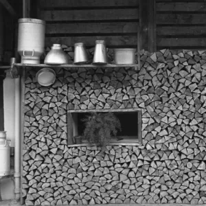 Logs stored under a chalet in Switzerland