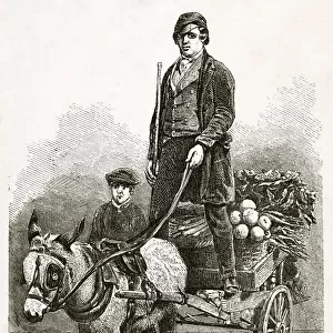 London costermonger 1850s