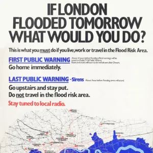 If London flooded tomorrow, what would you do?