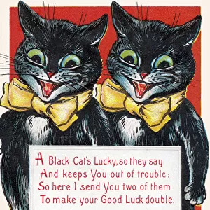 Lucky black cats