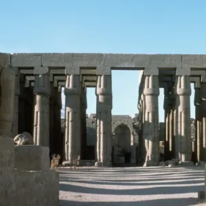 Luxor Temple Columns