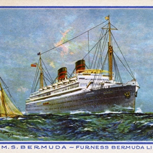 M. S. Bermuda - Furness Bermuda Line