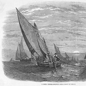 Mackerel Fishing / 1847