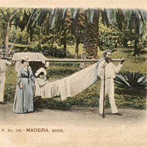 Madeira - Transporting Hammock