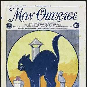 Magazine cover design, Cat on a Roof