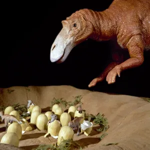 Maiasaura with nest of eggs and hatchlings