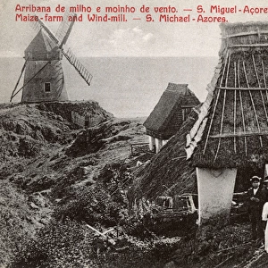 Maize farm and windmill, Sao Miguel Island, Azores