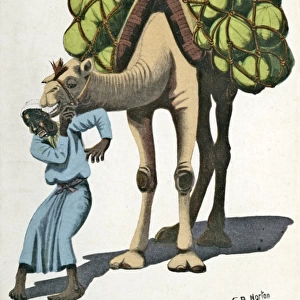 A man and his camel in Egypt
