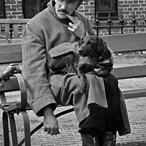 Man and dog resting on a bench
