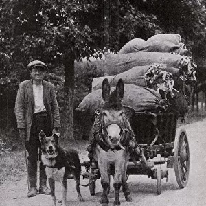 Man with donkey and dog on a road in France