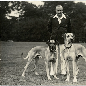 Man with two Great Dane dogs in a park