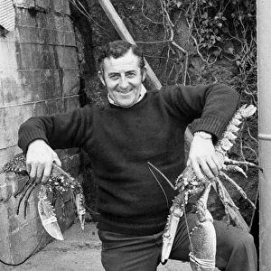 Man holding two large lobsters